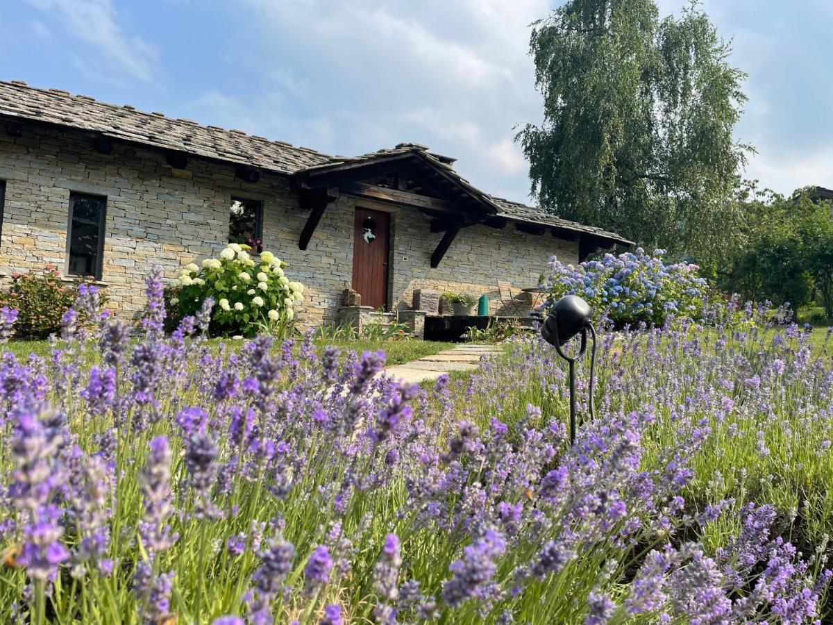 Dionisia'S Home, Pool, Spa On Monviso Unesco Alps Verzuolo Экстерьер фото